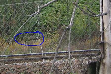 Bekk i Arnljot Gellines vei