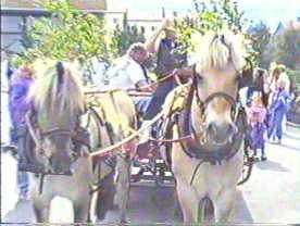 Hest og vogn