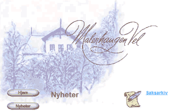 malerhaugen.com