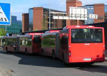 buss37