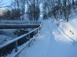 Nedenfor fossen